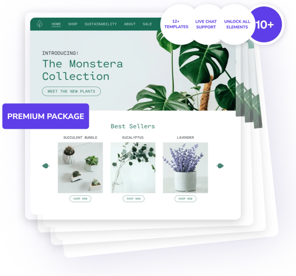 PREMIUM PACKAGE BUNDLE